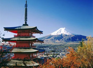 Trip Packages - PG直播APP